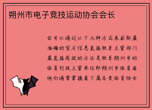 朔州市电子竞技运动协会会长